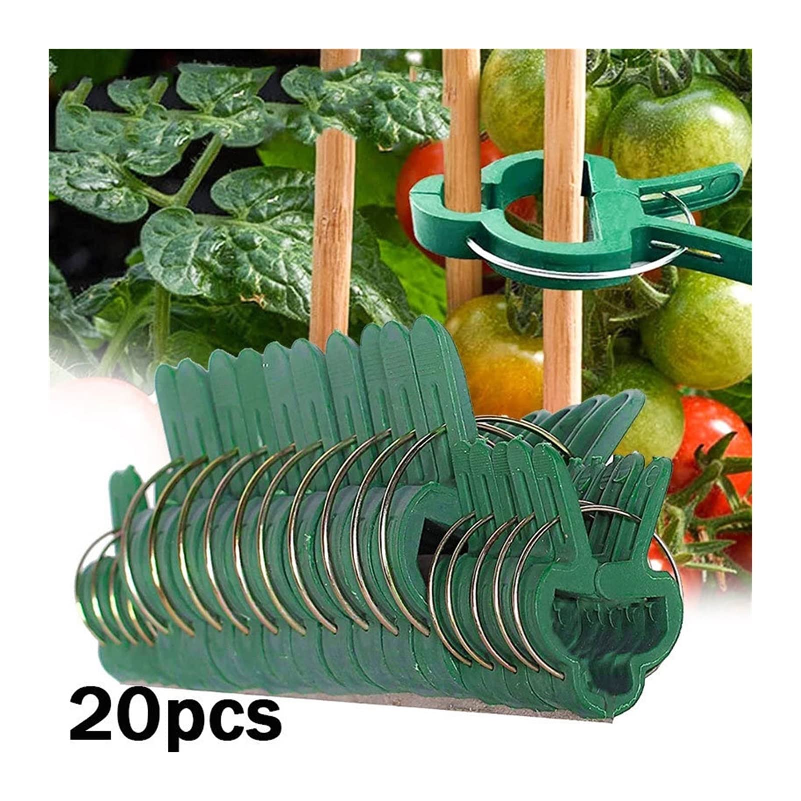 Befestigte Clips for grüne Gartenpflanzen - 20 Stück Pflanzenclips for Gewächshausgemüse, Blumen, Stängel, Reben, Traubenklemmen, Stütze, begradigen die Stängel (Color : L)