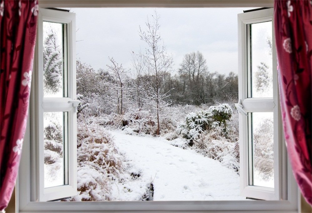 LFEEY 9x6ft Outdoor Snowscape Backdrop Ice Snow-Capped Jungle Forest ...