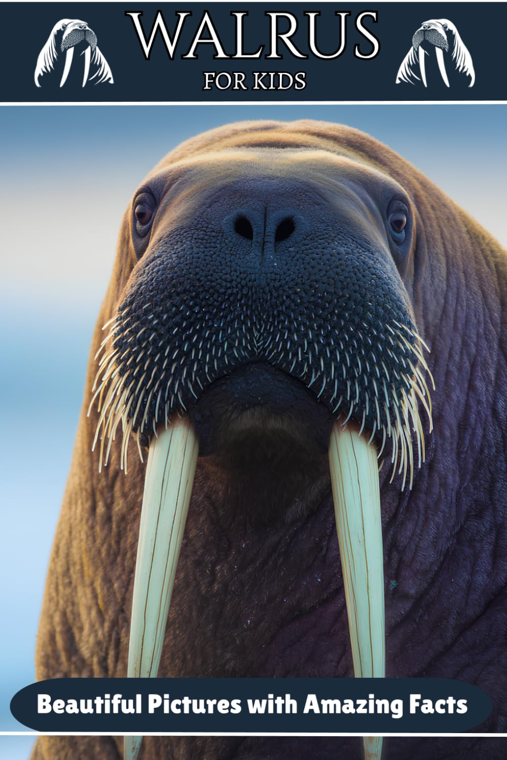 Walrus for Kids: Beautiful Pictures with Amazing Facts