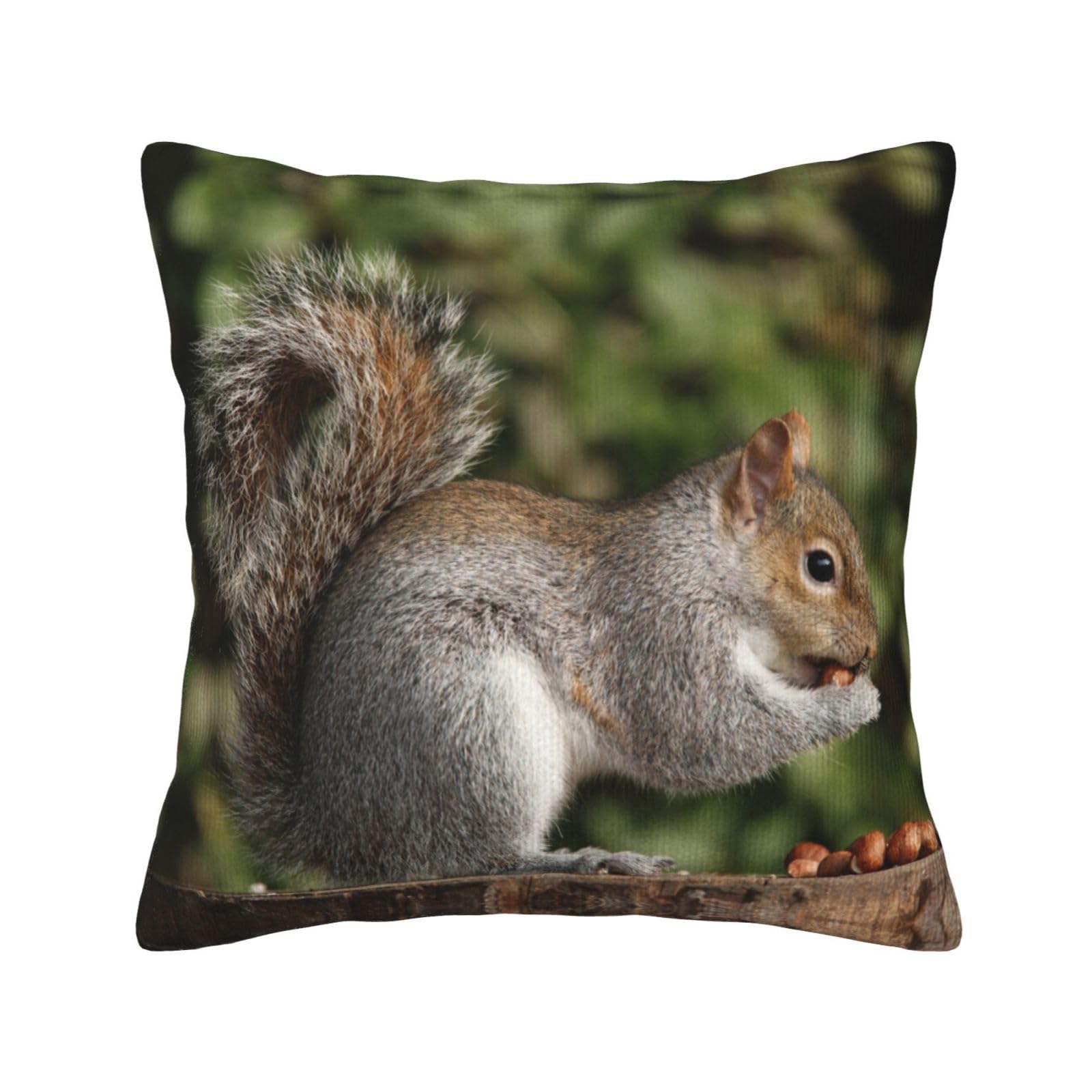 Housse de coussin écureuil pour créer un coin lecture cosy dans le salon