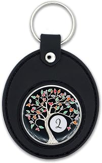 The Token Shop 2 Year Tree of Life Sobriety Chip with Black AA Coin Holder Keychain Bundle
