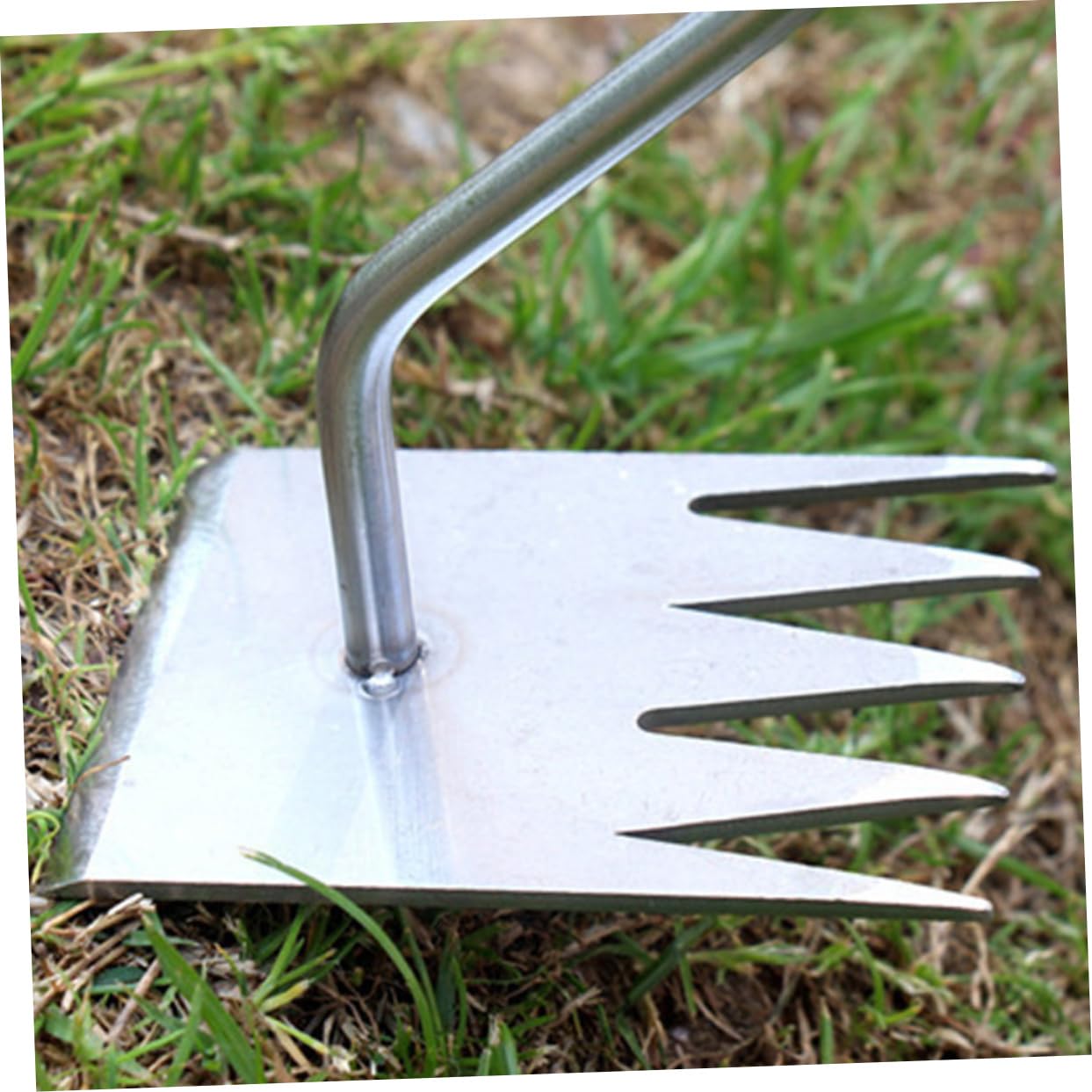 Sosoport 3 Stück Jätwerkzeuge Werkzeuge zum Unkrautjäten im Garten Gartenwerkzeug Jäter Entwurzelungswerkzeug Picker kleiner Rechen für die Gartenarbeit Unkrautstecher Rostfreier