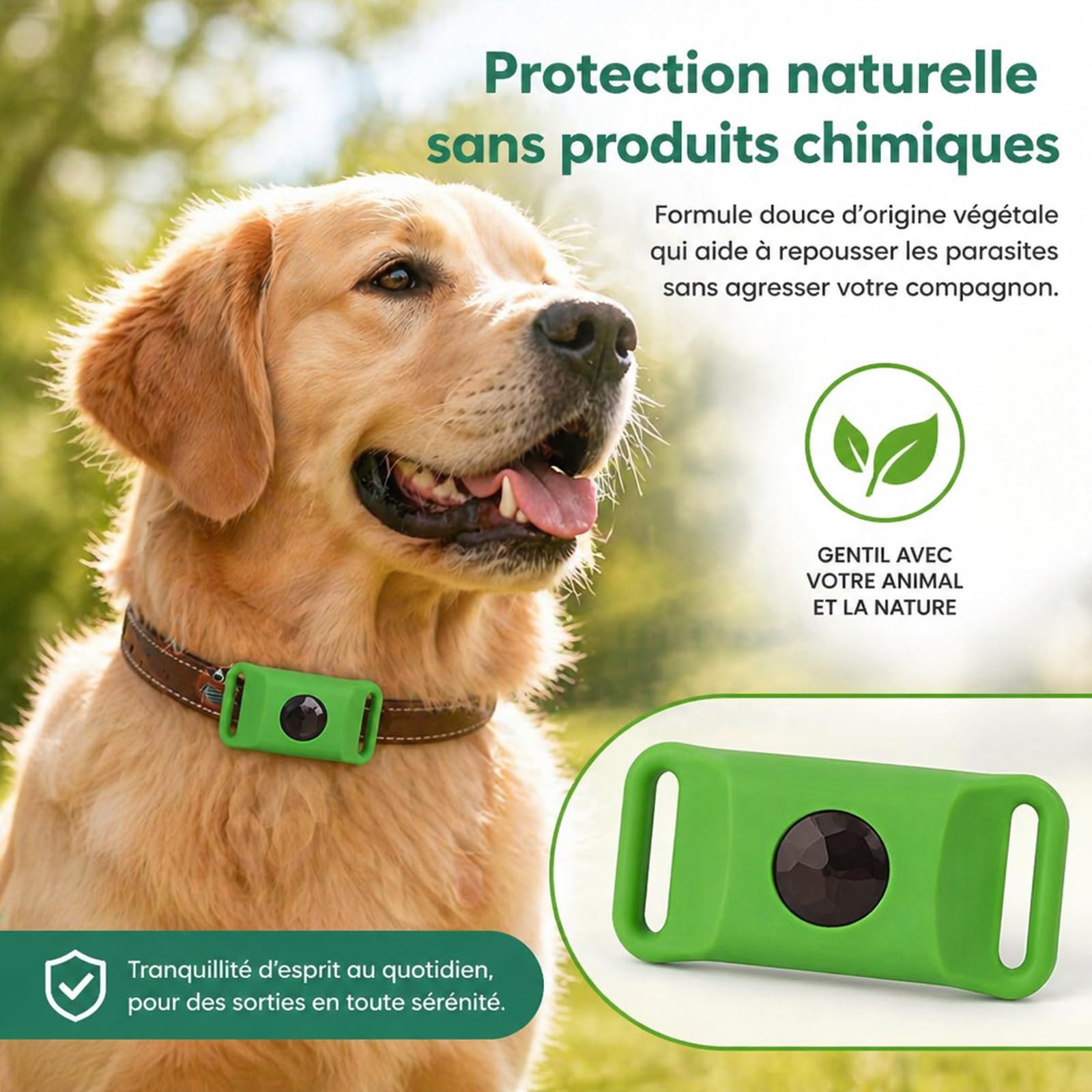 Pendentif Everly Chien - Nouveau Pendentif antiparasitaire Naturel pour Animaux 2026, Médaille de Collier Longue durée pour Une Protection Quotidienne, conçu pour Le Confort des promenades (Green)