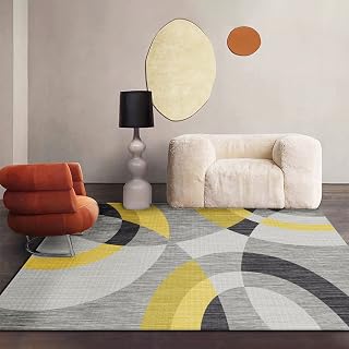 NW Alfombra grande para decoración del hogar, alfombra de sala de estar, alfombra de felpa para dormitorio, alfombra de gateo para niños, patrón de geometría nórdica, alfombra lavable de 80 x 120 cm