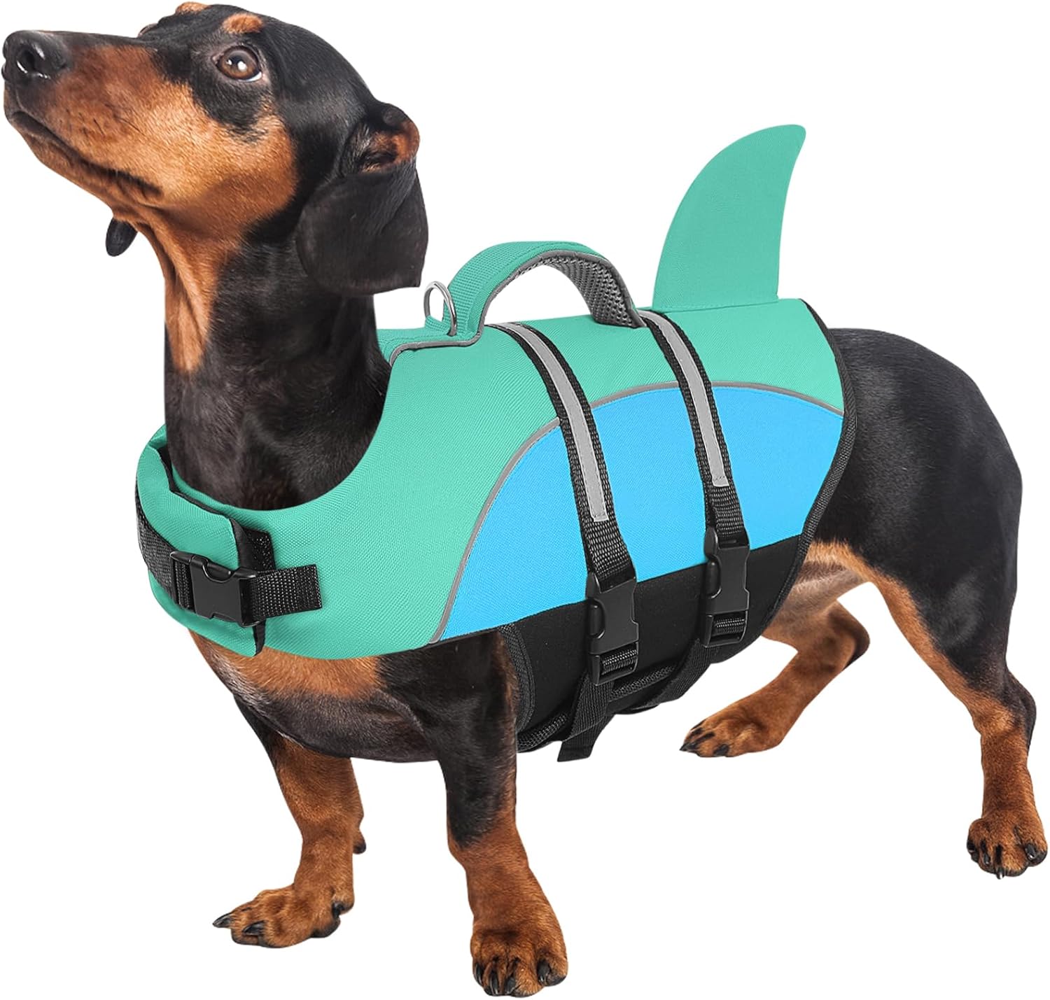 Queenmore Medium Dog Life Vest, Dog Shark Life Jacket for Swimming Boating in Pool Lake with Rescue Handle, Leash Hook, Reflective Strip, Light Weight