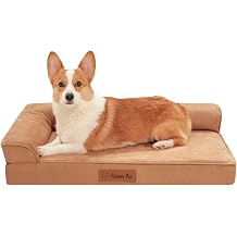 Rainmr Microsuede Dog Bed Orthopedic Washable - Small Medium XLarge Dogs - Memory Foam Couch Sofa with Waterproof Removable Cover, 35x23 Inches, Khaki