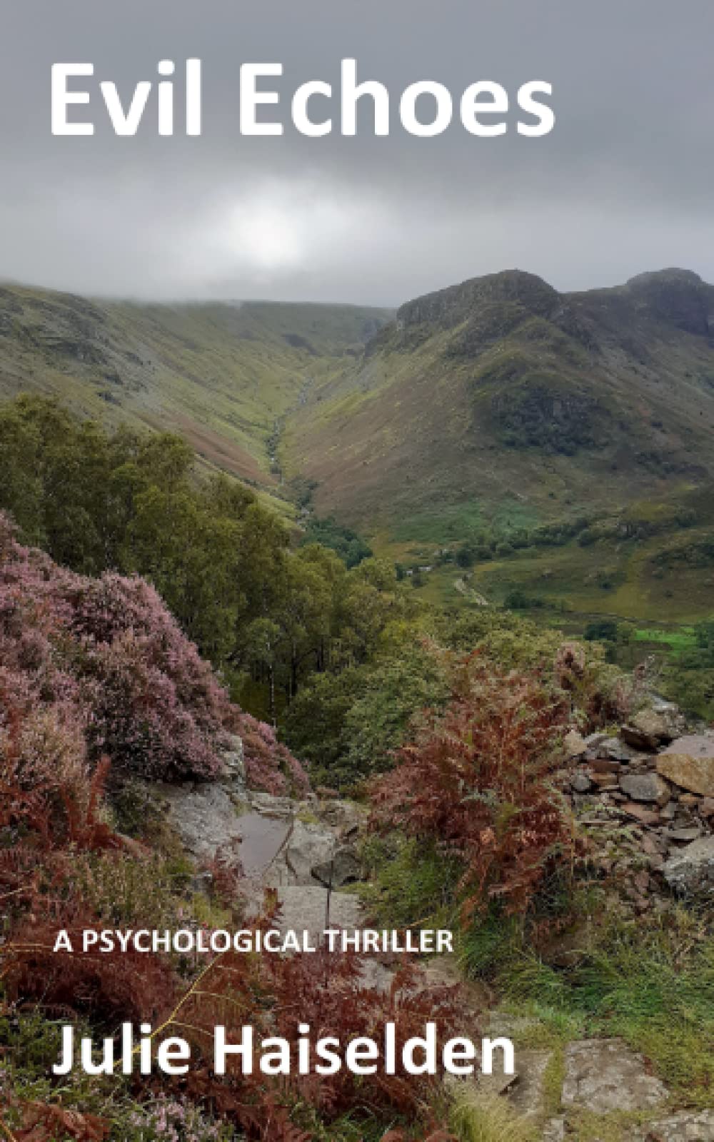 Evil Echoes (Blenthorne series)