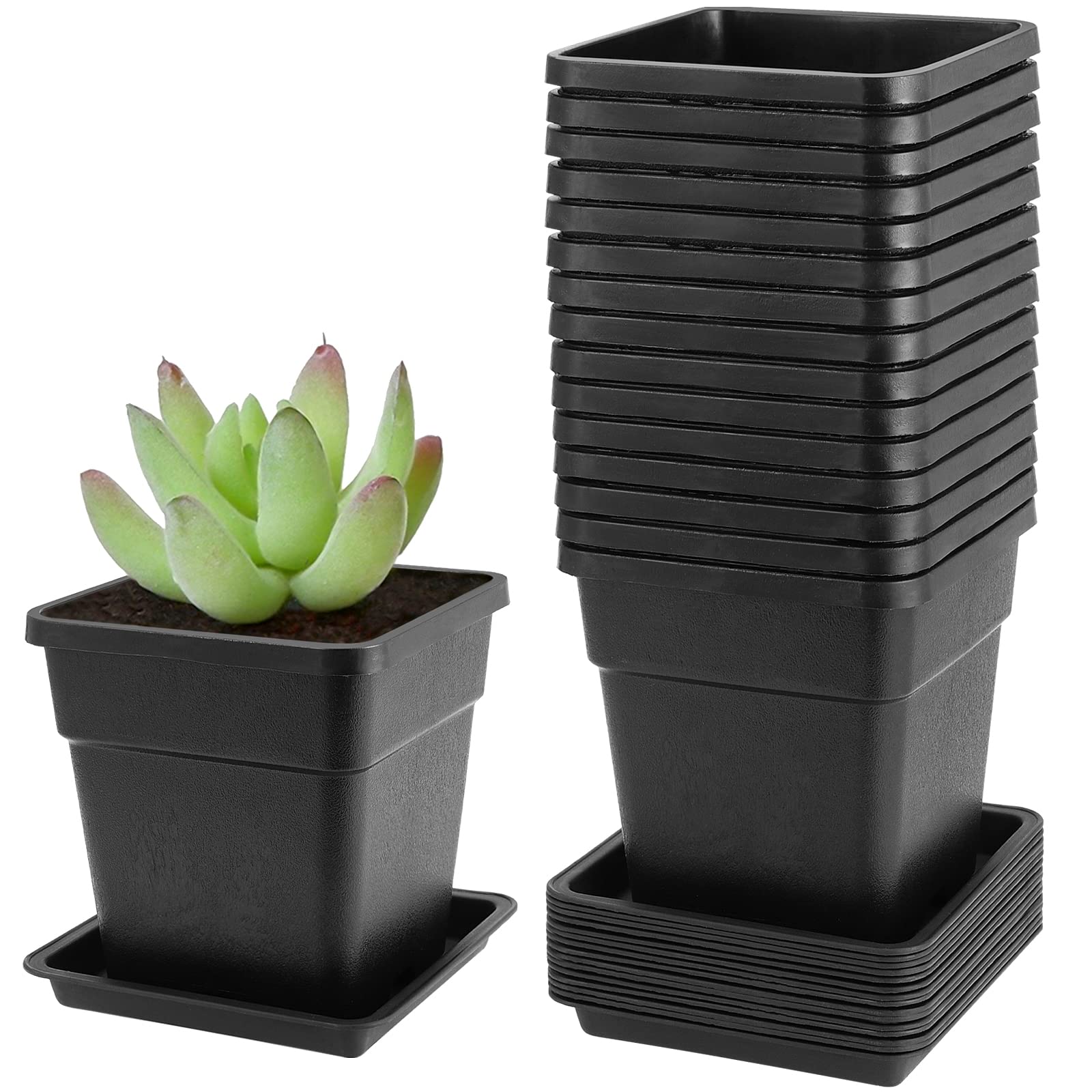 Pots pour plantes grasses et fleurs en lot de 16 pots carrés plastique 14 cm avec soucoupes