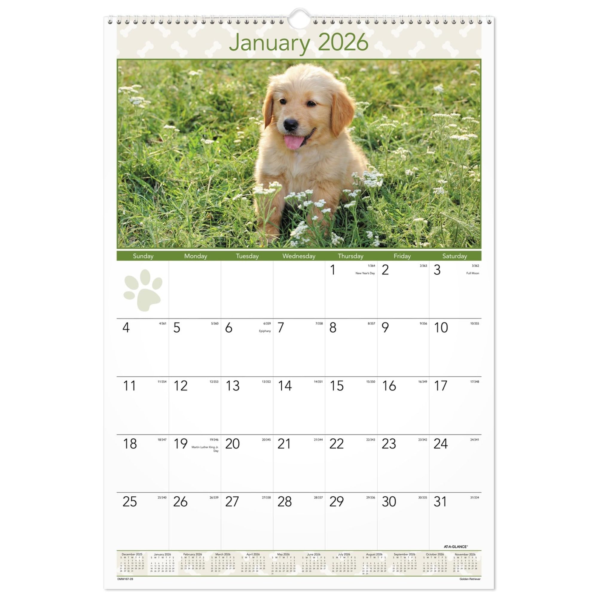 AT-A-GLANCE® 2026 Puppies Monthly Wall Calendar, Large, 15 1/2" x 22 3/4"