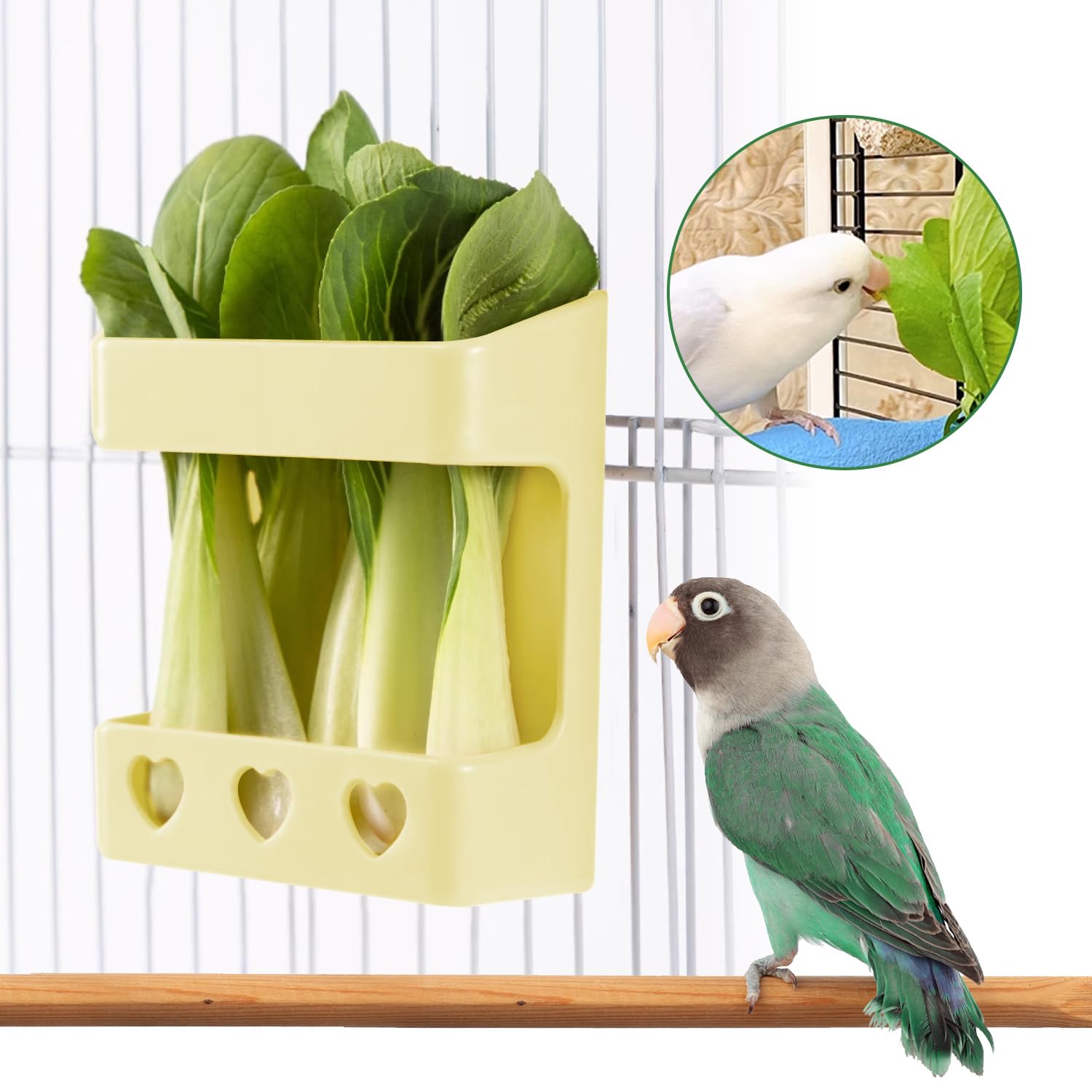 Supporto Per Osso Di Seppia Per Uccelli - Con Mangiatoia E Posatoi | 3 Pezzi - Foto 9