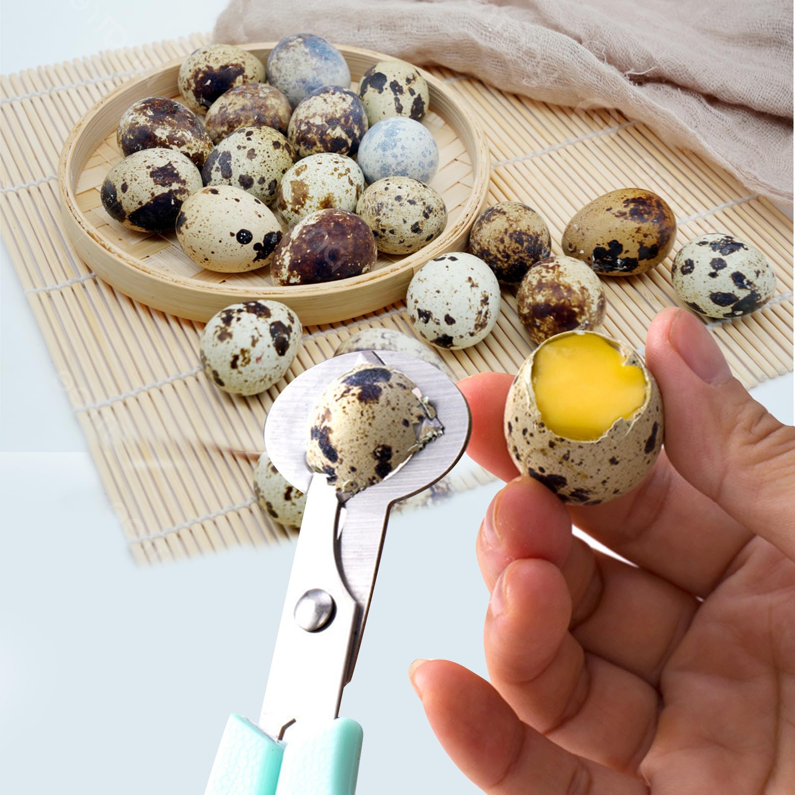 Tijeras Huevos de Codorniz de Acero Inoxidable, Cortador de Cáscara Huevo, Abridor de Huevos, Tijeras de Cocina, Negro, Verde