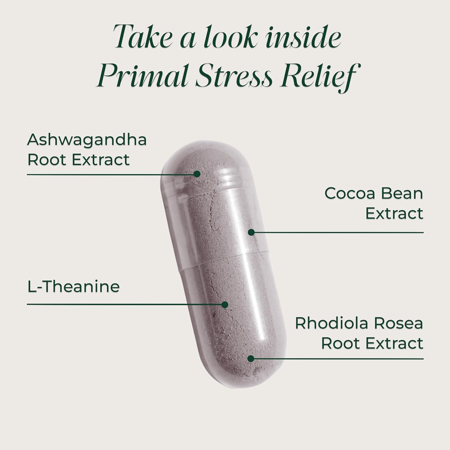 Primal Harvest Stress Relief Supplement for Women and Men Pure Ashwagandha Root Extract, L-Theanine Supplements, 30 Capsules - Image 3