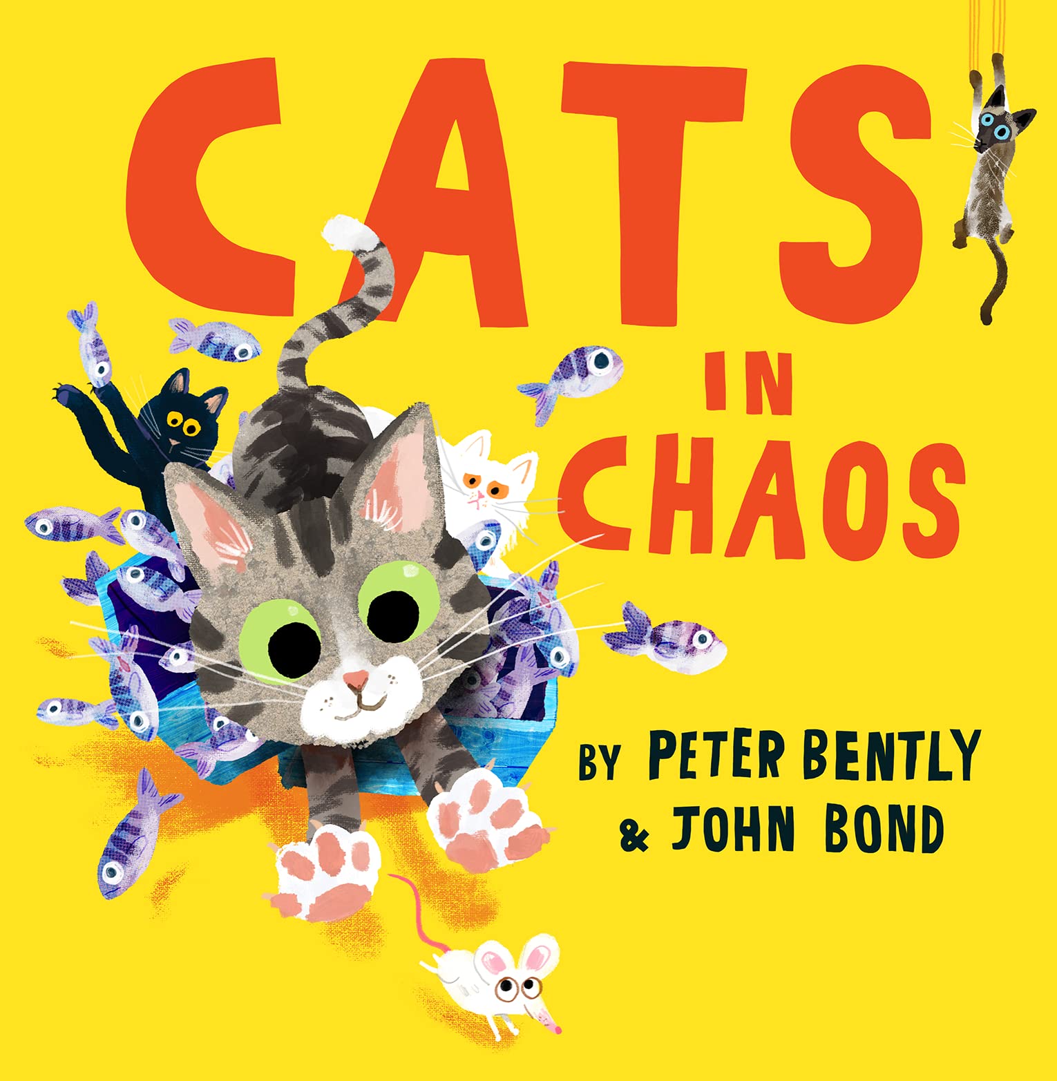 Cats in Chaos: A laugh-out-loud rhyming story, perfect for cat lovers!