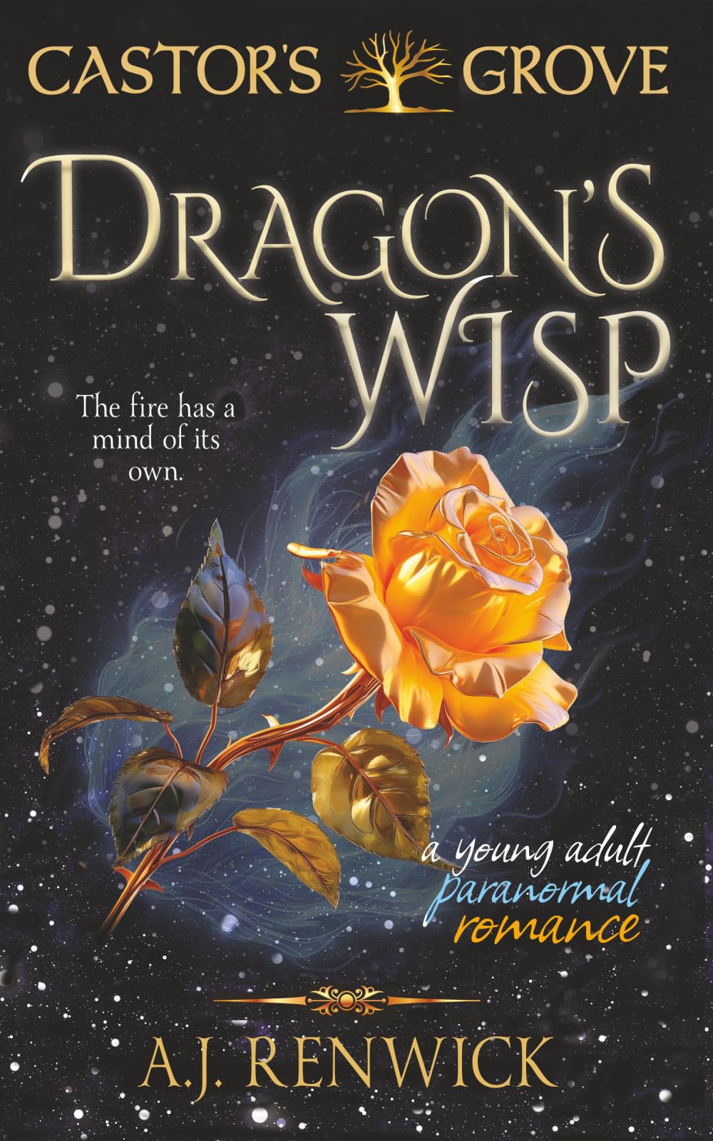 Dragon's Wisp: A Castor’s Grove Young Adult Paranormal Romance