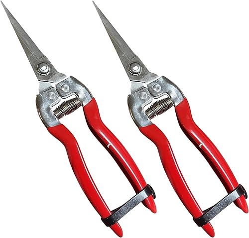 GARDEN GURU - Tijeras de podar extra largas de acero inoxidable - Cortador de bonsái afilado Tijeras de recortar plantas - Herramienta de tijeras de