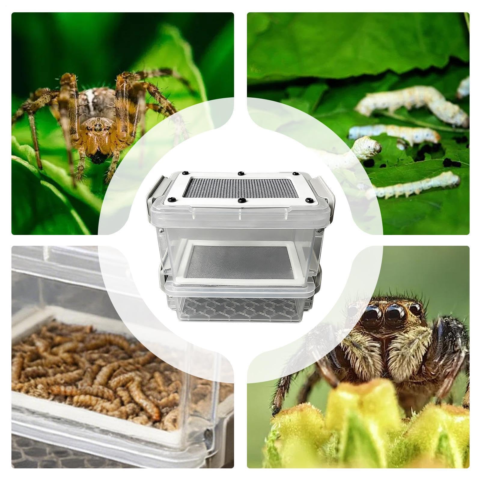 Contenitore per della Farina - Involucro con Filtro Antiumidità - con Pinzetta e Pennello,per Piccoli Animali Domestici Come Scoiattoli Volanti, Rettili,