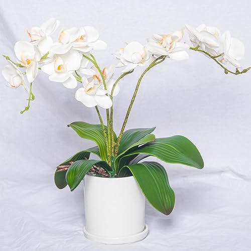 Vista 6 de Miracliy Phalaenopsis Orquídea Hojas Real Látex Touch Plantas Arreglo