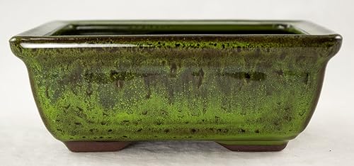 Miniatura 7 de Maceta para bonsái Shohin rectangular de 6 pulgadas + tierra + bandeja + roca + kit de malla, azul, verde