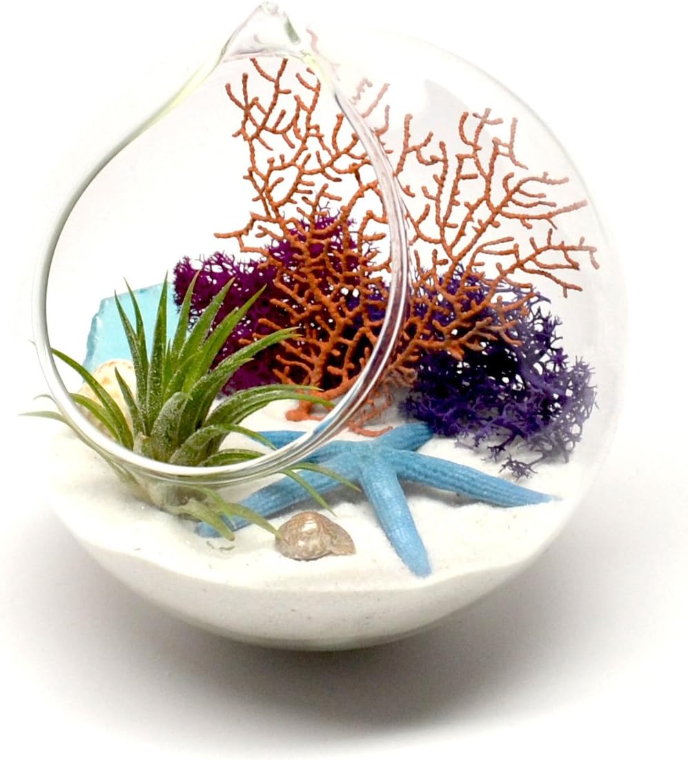 Pixie Glare Hanging Glass Terrarium 4.75" Ocean Scene with Artificial Air Plant, Sea Fan, Starfish & More