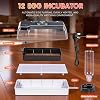 12 Eggs Incubator Breeding Egg Incubator Automatic Turnover Incubation, Incubator with Humidity Control, Laboratory Incubator with Digital Display and LED Lighting ,for Chicken Duck Goose Quail