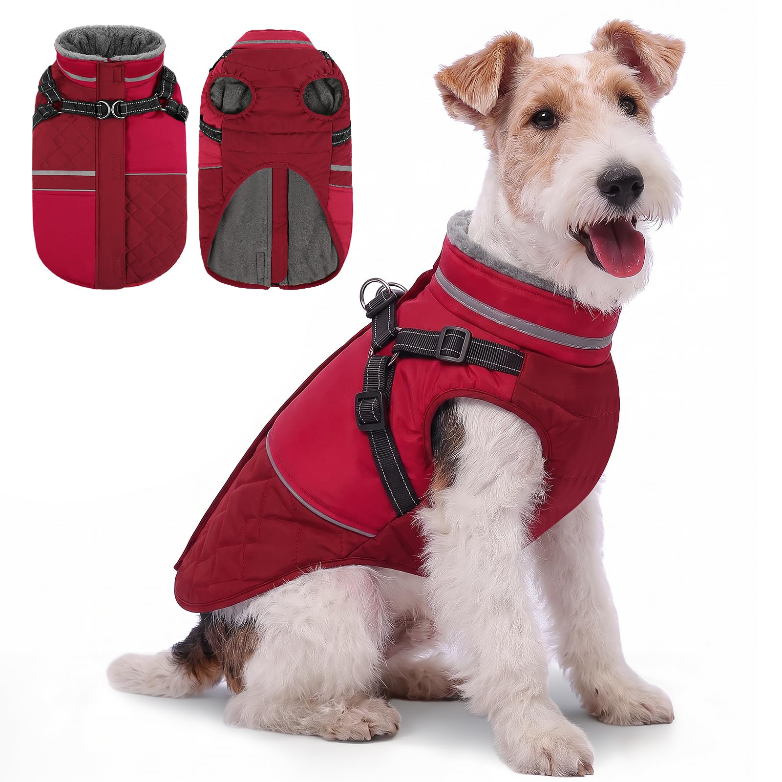 Queenmore Chihuahua Coat, XS Dog Coat Waterproof Windproof, Red, XS