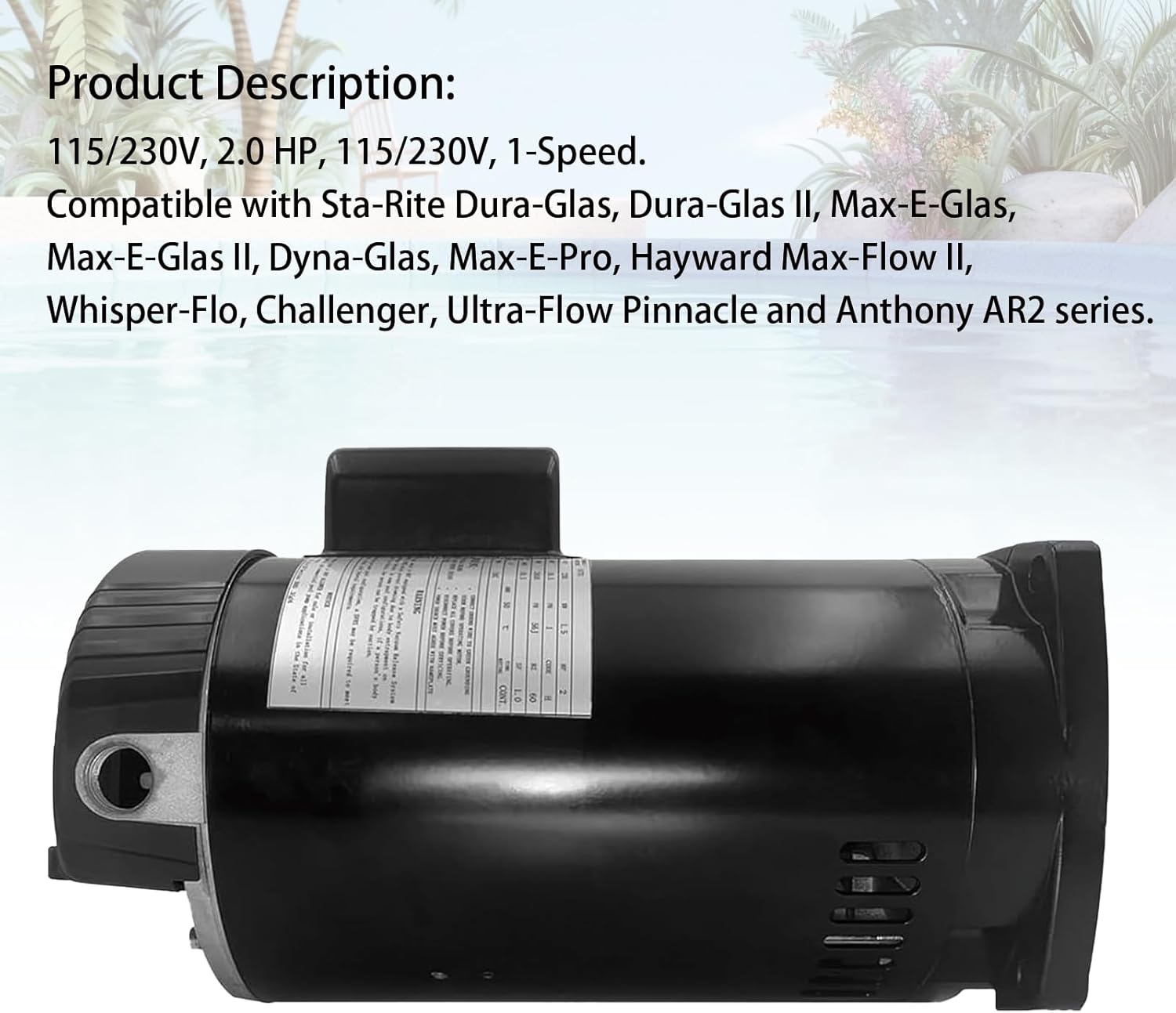 B2855 2HP Pool Pump Motor,56Y Frame | 230V | 3450 RPM Compatible with Century/Smith Pool Pump Motor