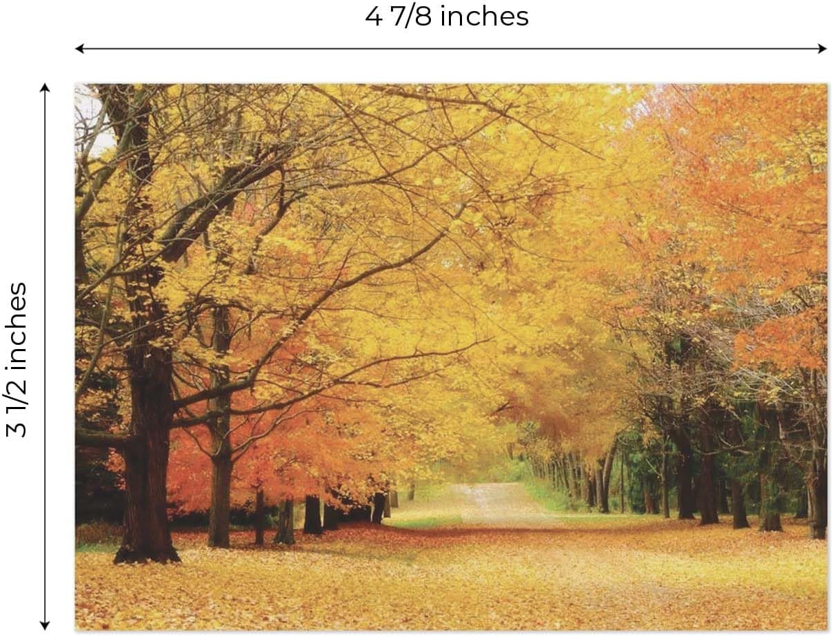 Breathtaking Landscape Note Card Pack / 36 Nature All Occasion Greeting Cards With White Envelopes Set / 6 Colorful Outdoor Scenery Designs / 3 1/2" x 4 7/8" All Occasion Sympathy Cards - Image 5