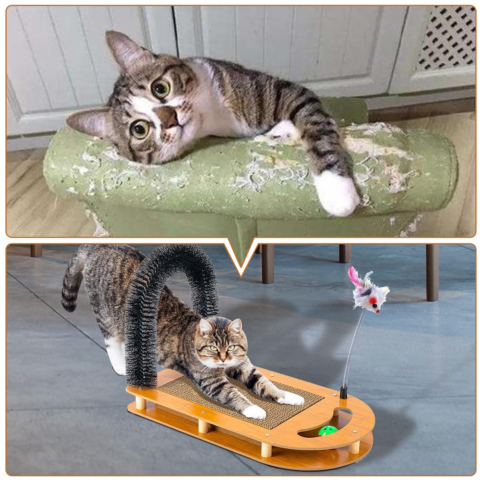 5 in 1 Katzenbogen Selbstpfleger Katzenmassagegerät, Karton Kratzer für Indoor Katzen, Katzenhaarbürste für die Fellpflege mit stabilem Katzenkratzpad und Katzenminze Spielzeug (5 in 1 Katzenbürste)