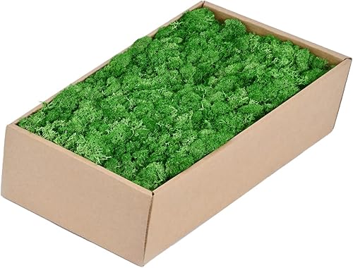 Musgo artificial preservado de musgo de 1.1 libras para manualidades, proyectos florales, decoración de mesa, boda, jardín, terrarios (verde)