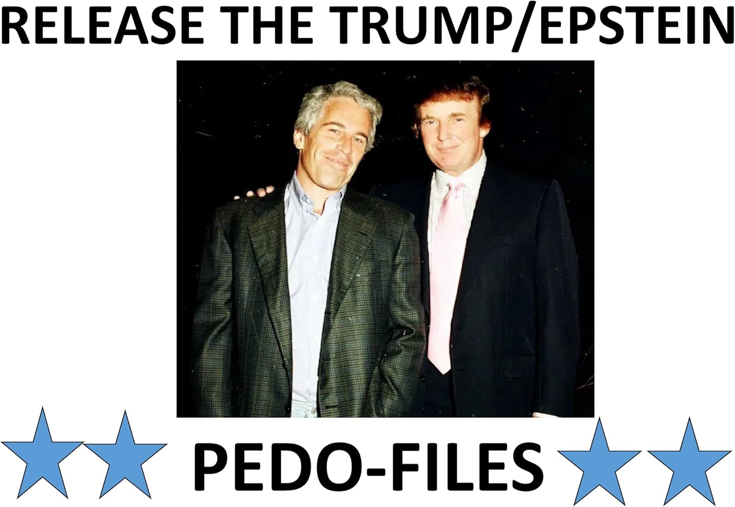 Anti-Dictator - Anti-Trump 2028 - Release the Epstein Files 18X24 inch 2-Sided Political Yard Sign with Stake