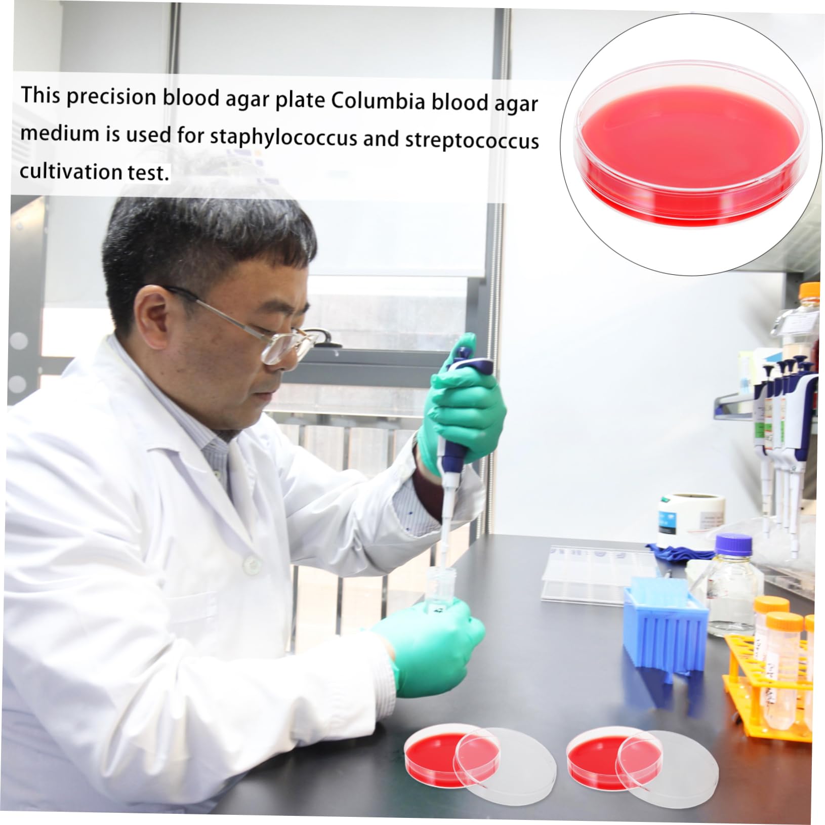 Gatuida 2 Placas de Agar Placa de Petri Medio de Cultivo de Agar Resistente Y Ligero Fácil de Usar 10 Unidades