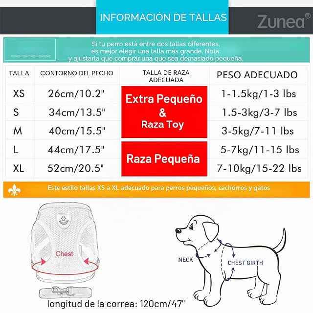Foto 5 de 8 de Zunea Arnés Perro pequeño con Correa