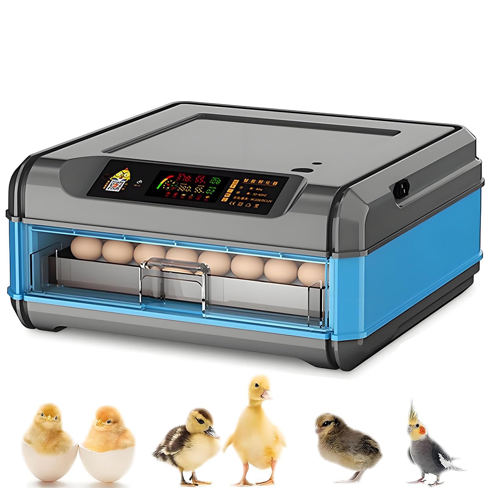 Incubateur pour œU.S de Poules,Canards et Oies. Incubateur Entièrement Automatique avec Contrôle Intelligent de La Température et de L'humidité. Incubateur Domestique 1Layer