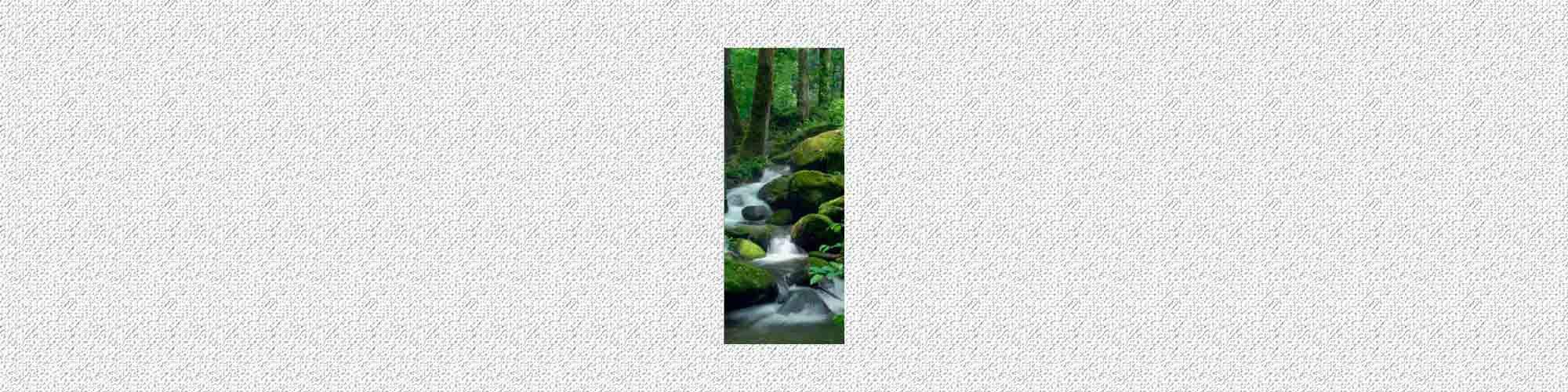 Wall Door STICKER brook, forest, stream, , mural, decole, film 30x79" (77x200 Cm)