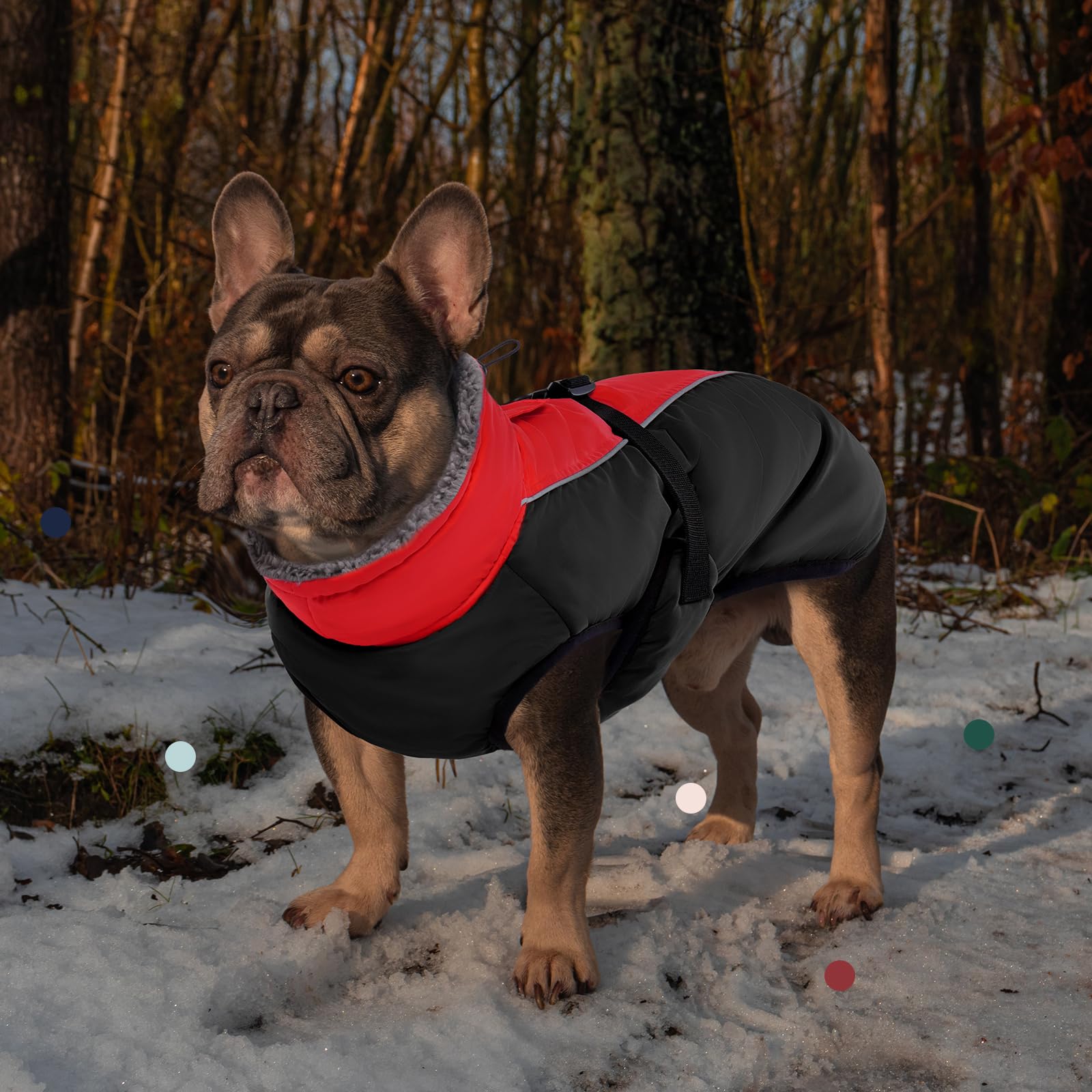 IECOii Abrigo extra cálido para perro, reflectante, ajustable, abrigo de invierno para perro con hebilla, chaqueta de forro polar con cuello alto para clima frío, abrigo de invierno suave para perros