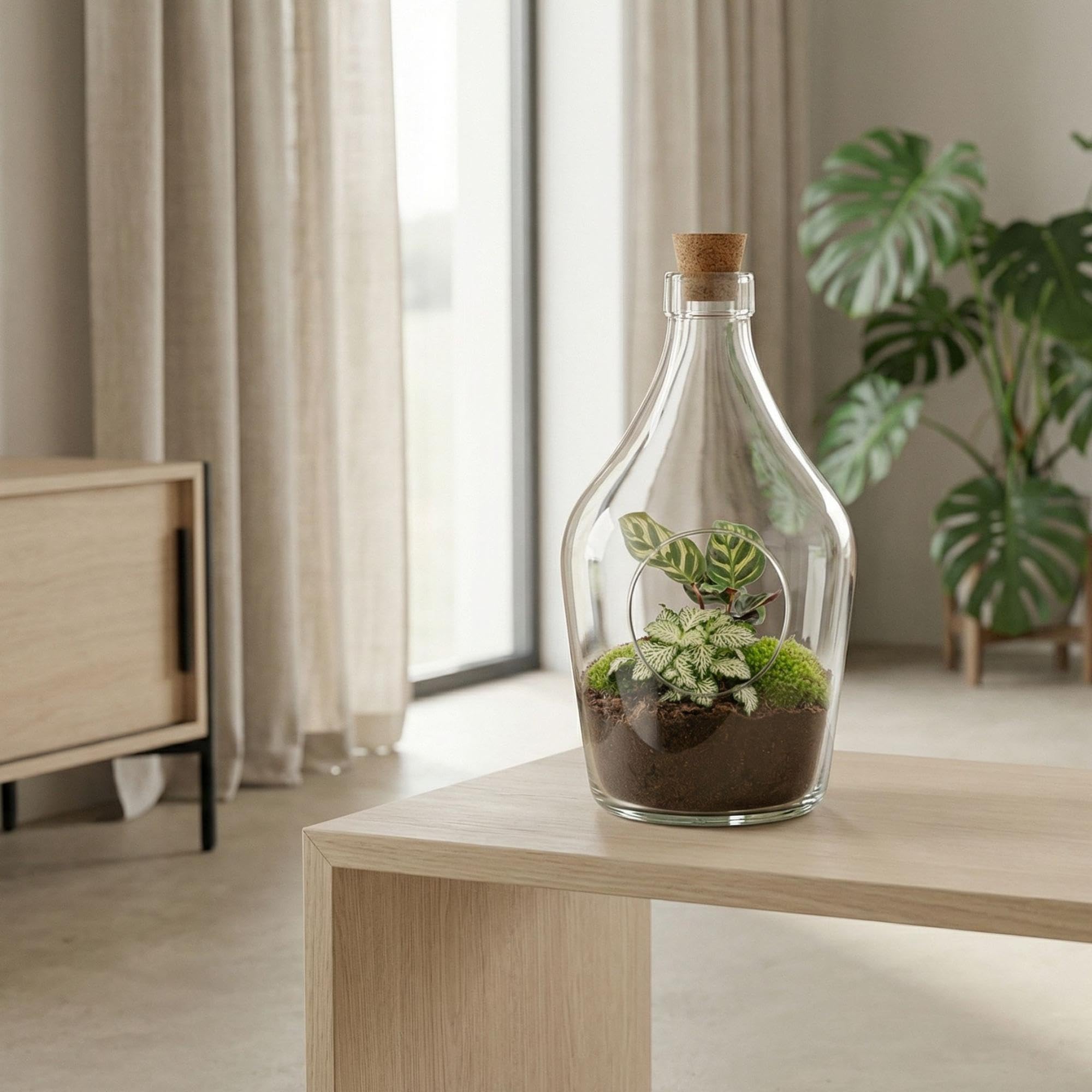 Terrario Abierto con Vidrio, Decoración de Interior, Verde, 3 Litros 30 cm