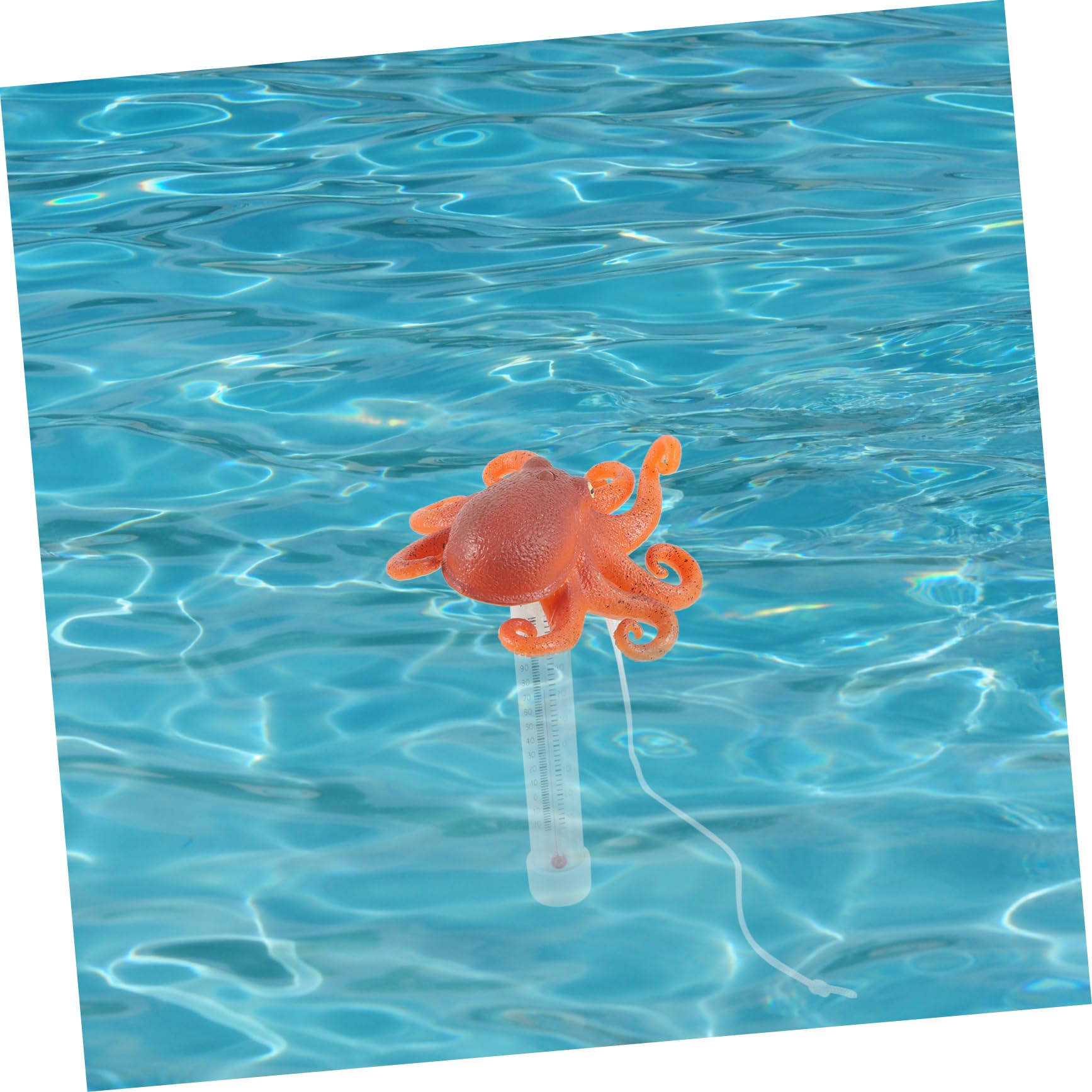 Toddmomy 3 Pezzi termometro ad acqua per immersione fredda misuratore di temperatura termometro digitale per piscina piscine termometro dell'acqua del bagno plastica