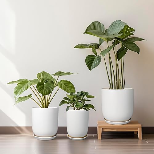 Miniatura 7 de Maceta de cerámica de 8 pulgadas para plantas de interior y exterior, maceta grande con orificio de drenaje y platillo, maceta moderna, color blanco