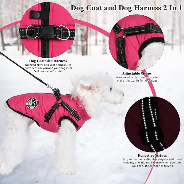 Poseca Waterproof Winter Coat for Small Dogs - Warm Vest Jacket with Harness for Small Medium Large Dogs - 1