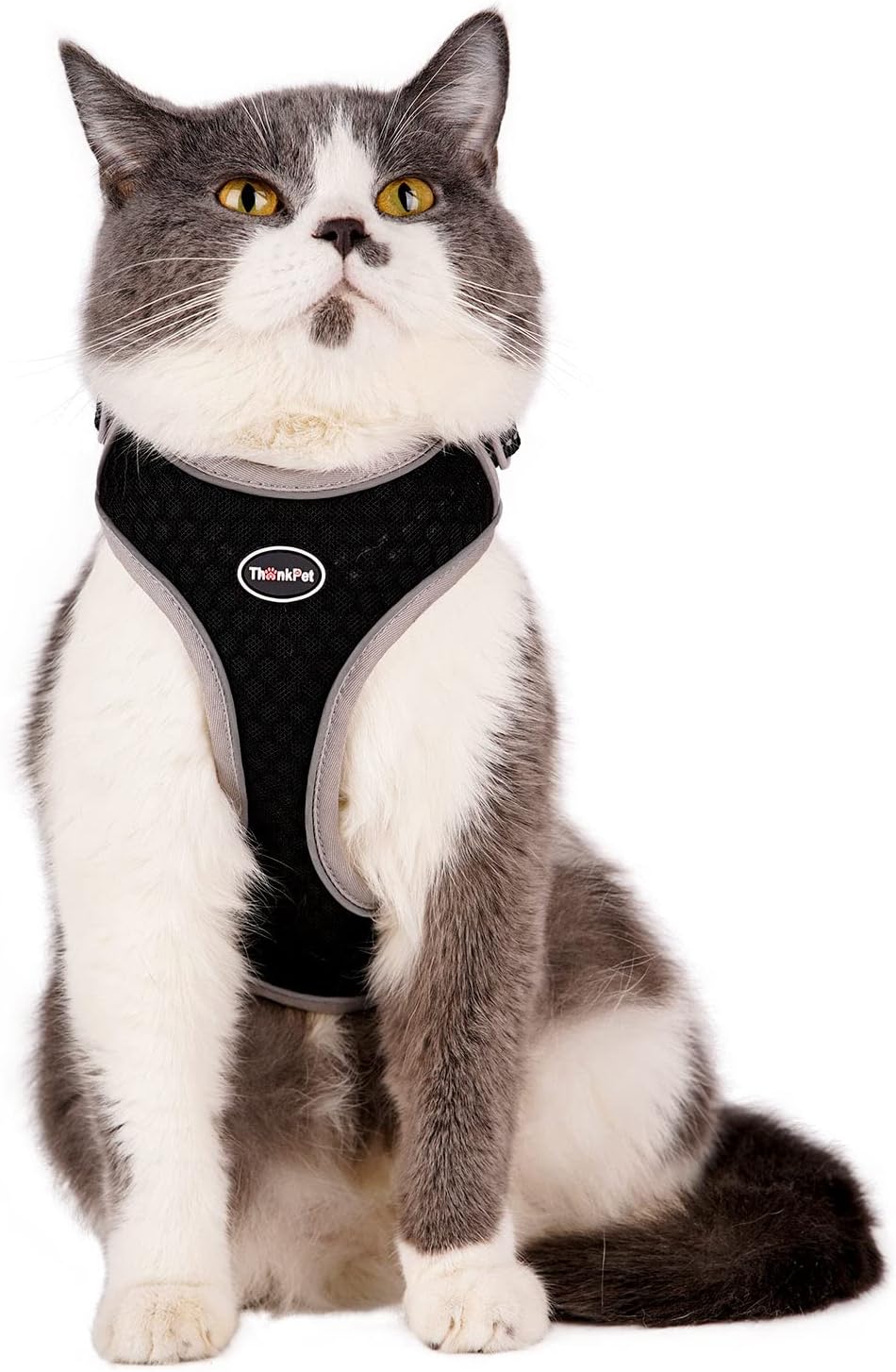 ThinkPet Reflective Breathable Soft Air Mesh No Pull Puppy Choke Free Over Head Vest Ventilation Harness for Puppy Small Medium Dogs (Black,XXS)