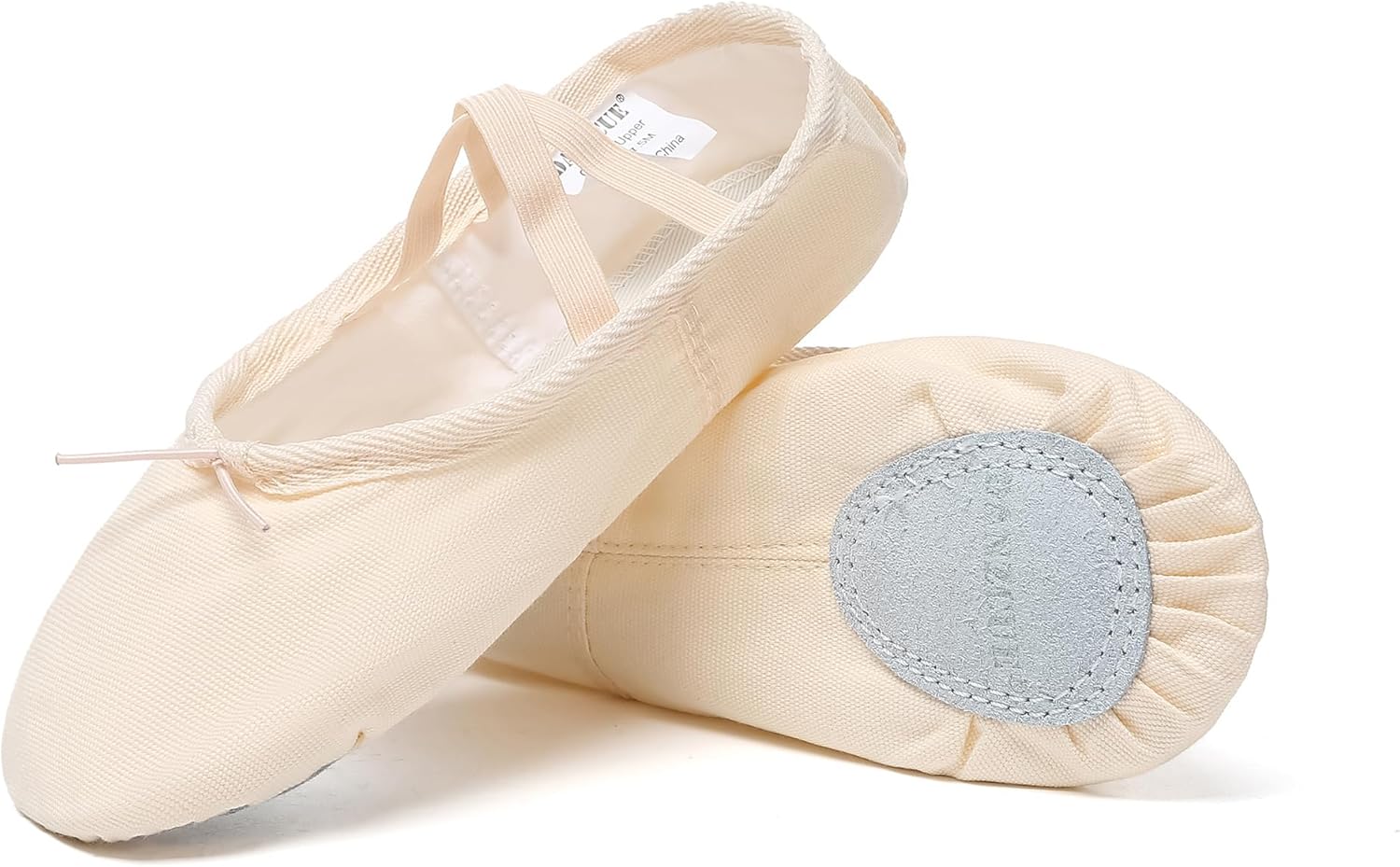 Danzcue Adult Canvas/Leather Ballet Shoes