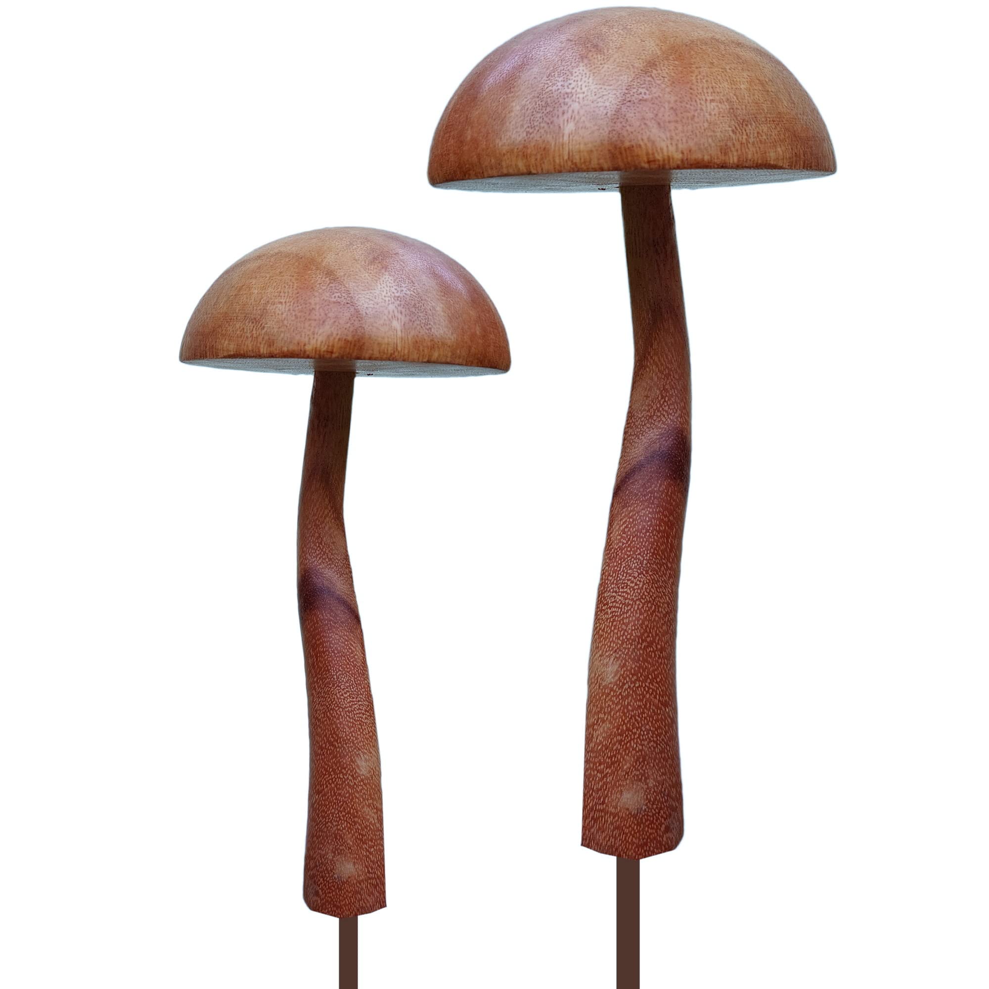 Pilze