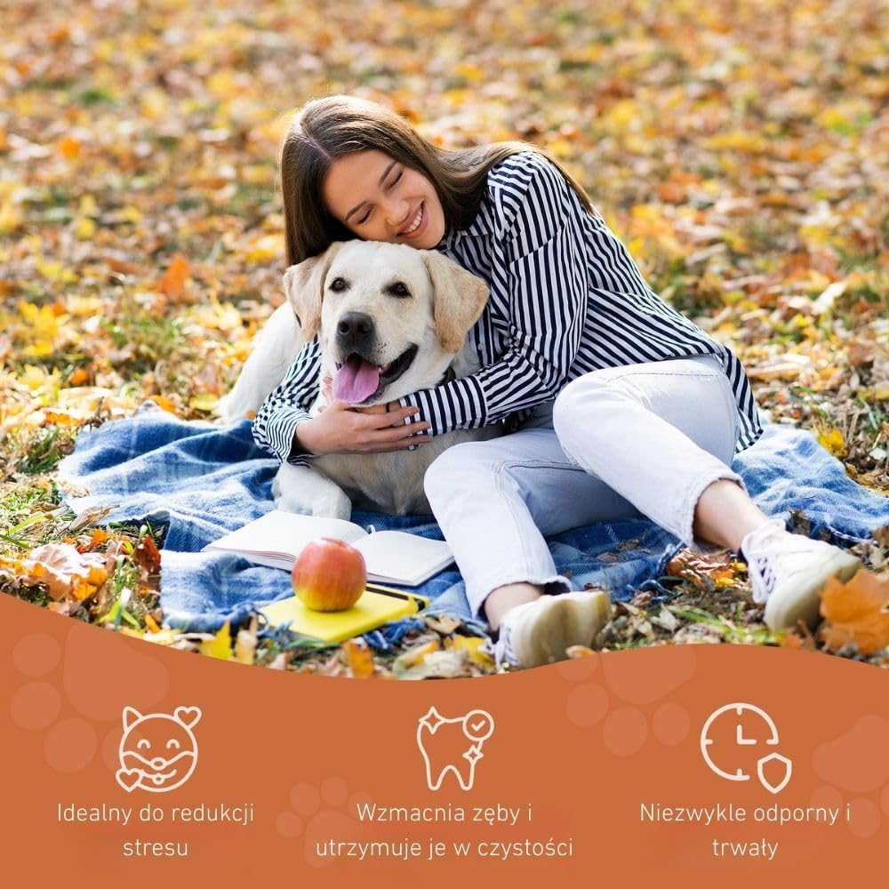 Wildfang® Gryzak z korzenia wrzośca, duży – Nieodpryskująca zabawka dla psów o silnej potrzebie gryzienia Naturalny gryzak na ząbkowanie Zdrowie zębów i dziąseł psa (dla psów 25–45 kg), 3 szt.