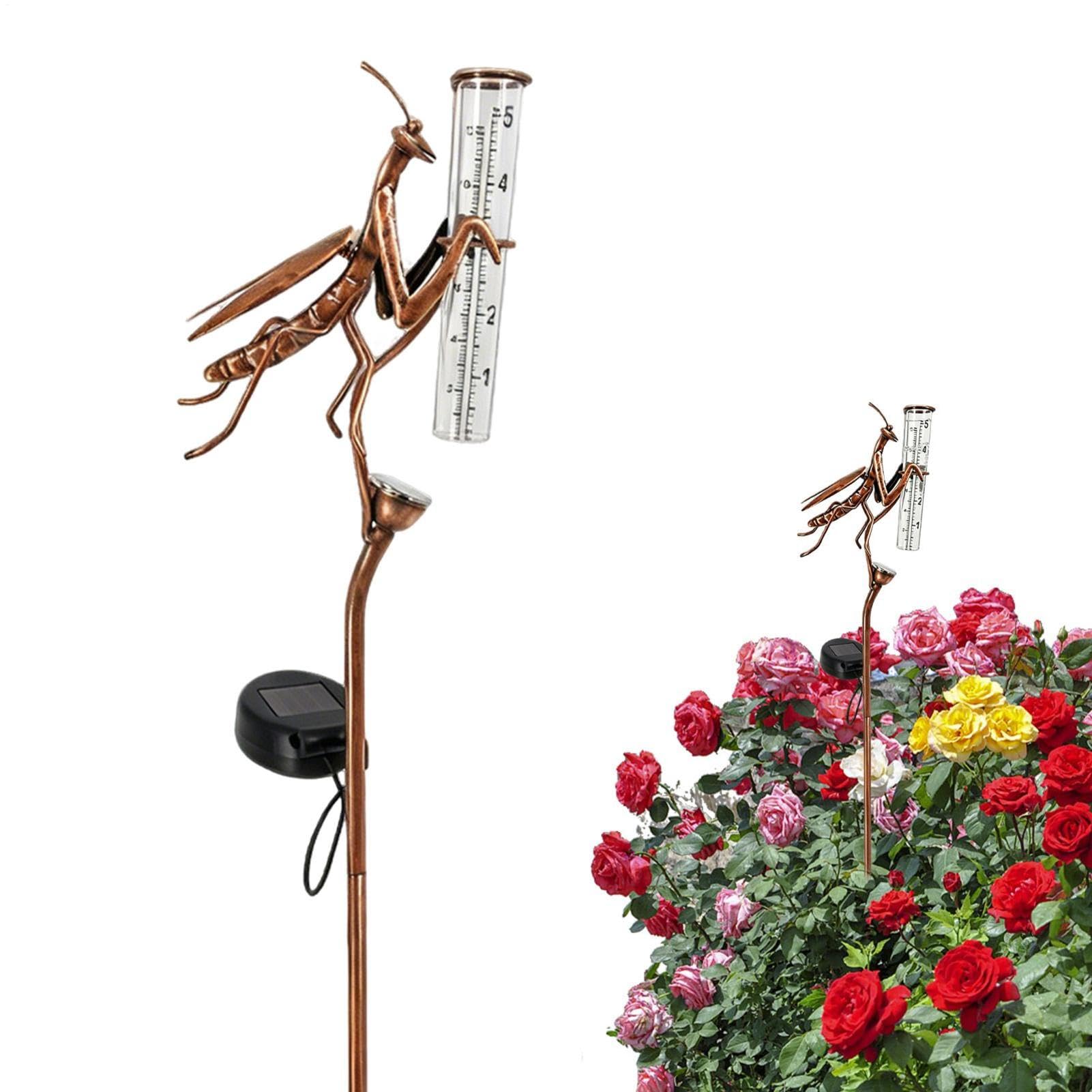 Pluviomètre extérieur LED pour jardin et mesure de l'eau de pluie