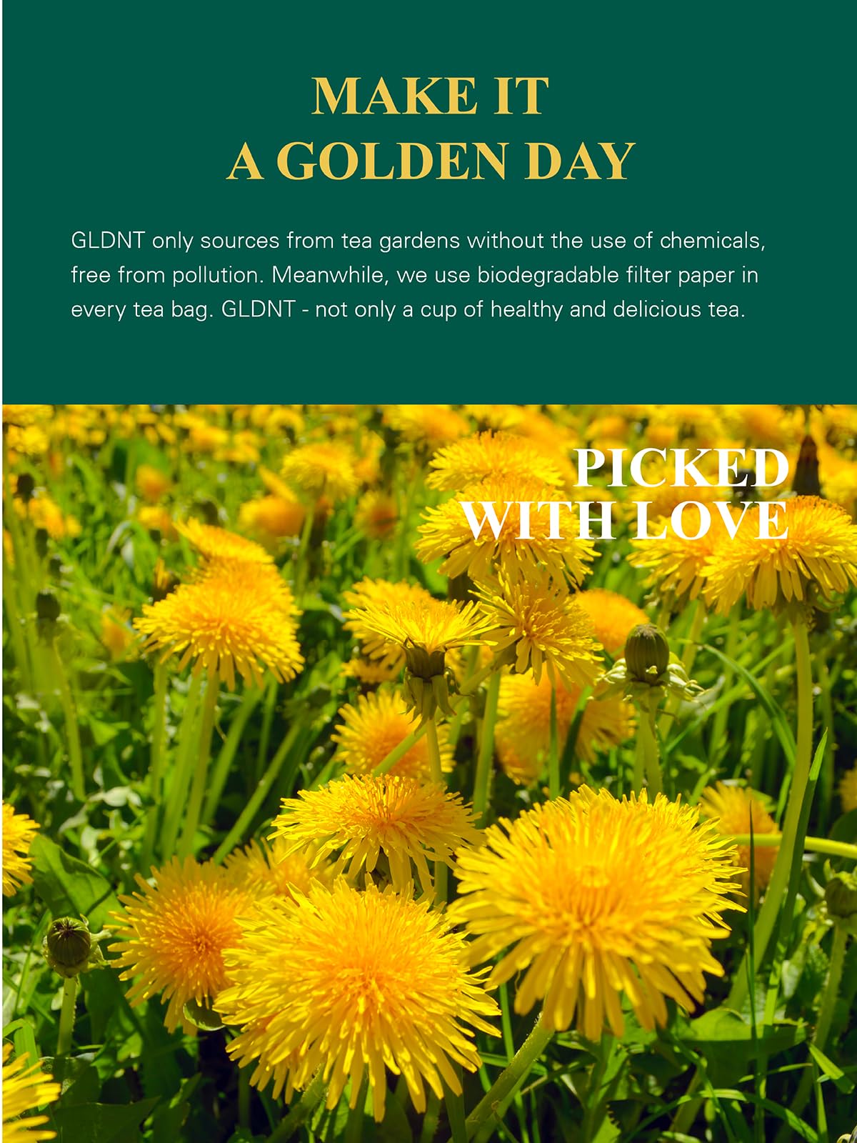 Snapklik.com : Organic Dandelion Root Tea Bags, Premium Organic Raw ...