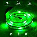 LED Dog Leash, YFbrite Light Up Dog Leash, 4 Feet Micro USB Rechargeable Dog Lead Light, Nylon Reflective Glow Safety Standard Leashes for Small Medium Large Dogs (Green)
