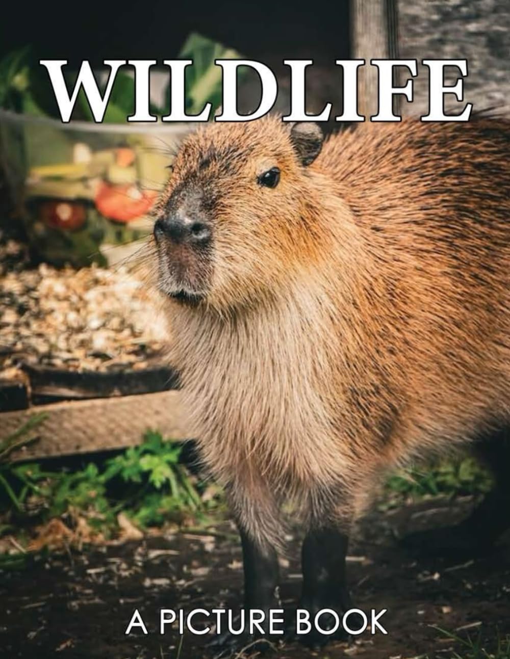 A Picture Book of Wildlife: Colorful Pages for Alzheimer's Patients and Seniors with Dementia - Relaxation and Stress Relief