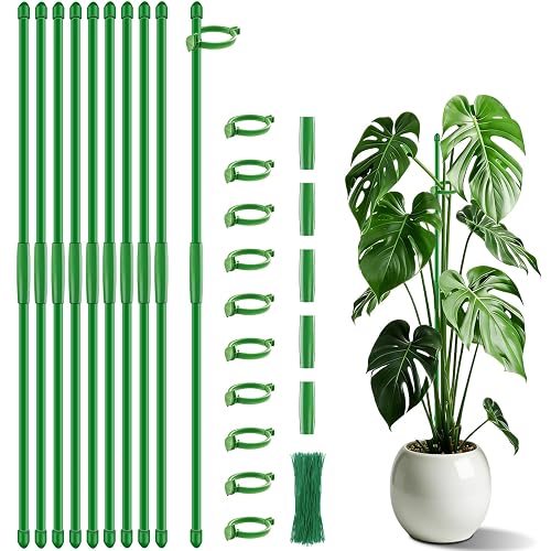 Plant Support Stakes for Indoor SupKing Orchid Sticks with Clips