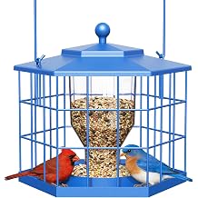 Birdream Squirrel Proof Bird Feeders for Outdoor Hanging, Metal Cage Bird Feeder with Rain Proof Covered for Wildbirds Bluebird Finches, Blue