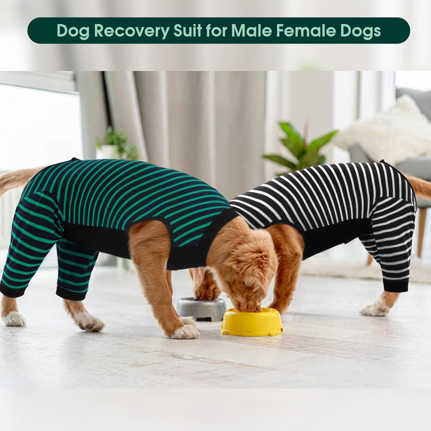 Kuoser Dog Recovery Suit, Anti Licking Dogs Rear Leg Sleeve, Abdominal Dog Surgical Suit with Dog Pants Cover Protect Wounds, Dogs Elbow Protector Soft Pet Surgery Onesie Cone Alternative, Green 2XL
